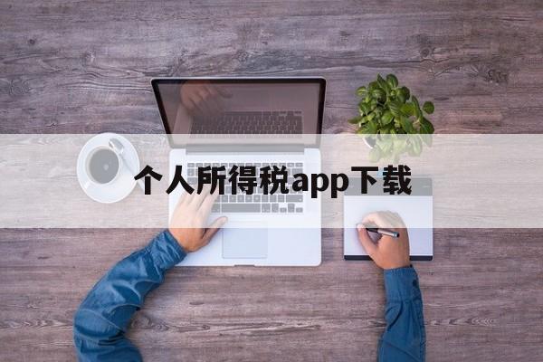 个人所得税app下载(个人所得税app下载官方免费下载安装)